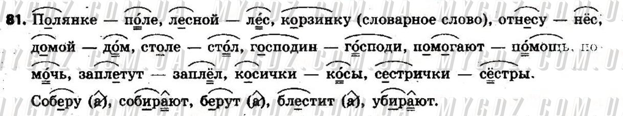 ГДЗ номер 81 до підручника з російської мови Давидюк 6 клас
