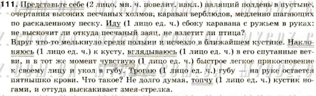 ГДЗ номер 111 до підручника з російської мови Давидюк, Статівка 8 клас