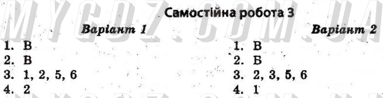 ГДЗ номер 3 2011 Воропаєва, Воропаєв 10 клас